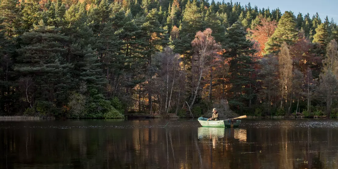 Glen Tanar High Res 25