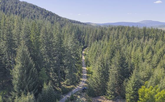 A Sustainable Working Estate