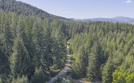 A Sustainable Working Estate