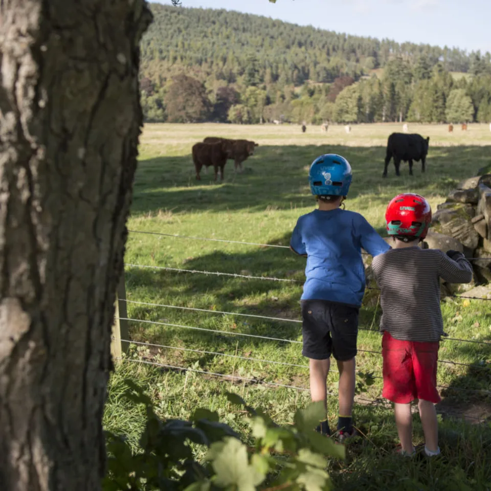 GTW25 Explore Scotland with children