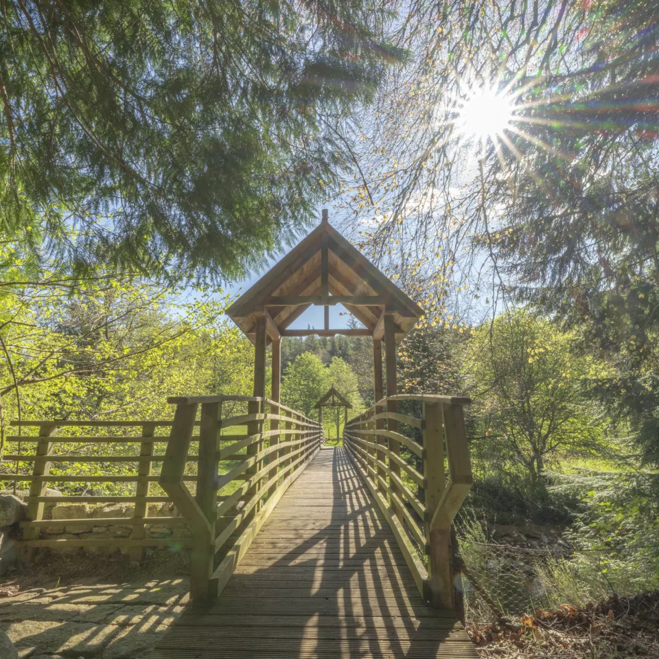 GTW25 Glen Tanar Bridge
