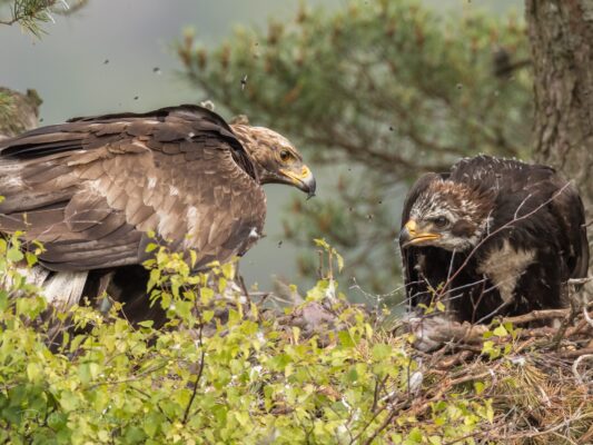 20190708 4 X0 A8974 3