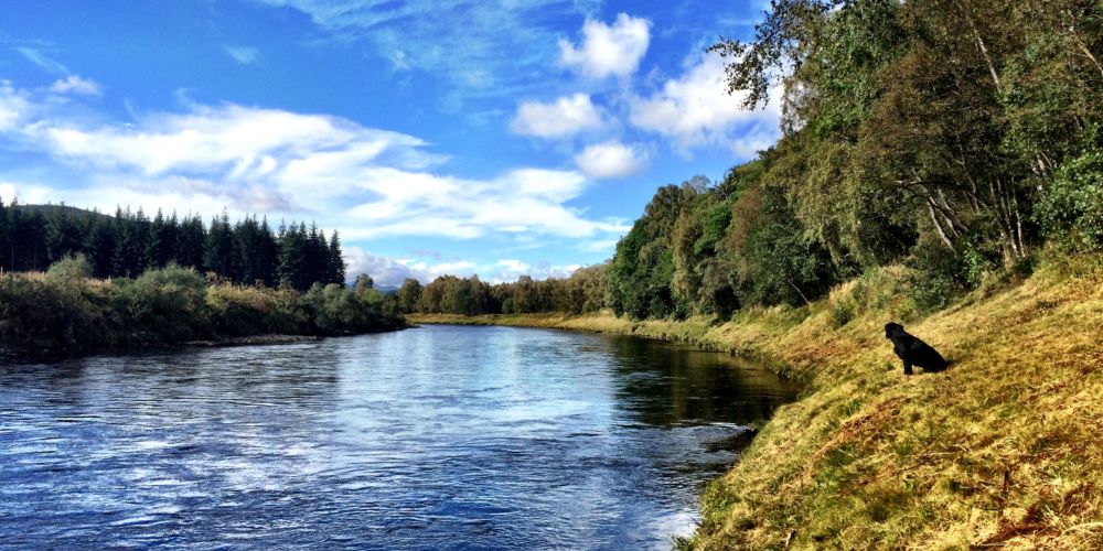 Fishing on one of the world’s best spring salmon rivers