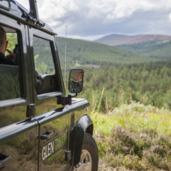 Land Rover Safaris