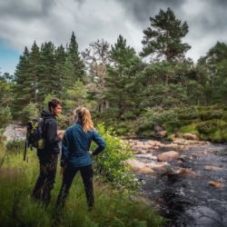 Walking in Glen Tanar