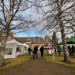 Rho Rho Illustrations