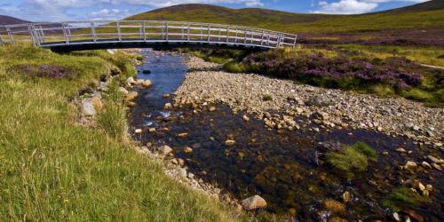 Heather moorland inspiration