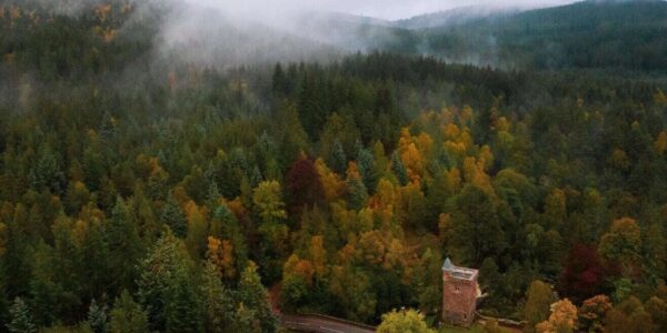 An estate rooted in heritage and nature.