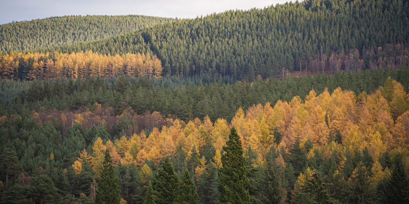 Where heritage, hospitality and Highland adventure meet.