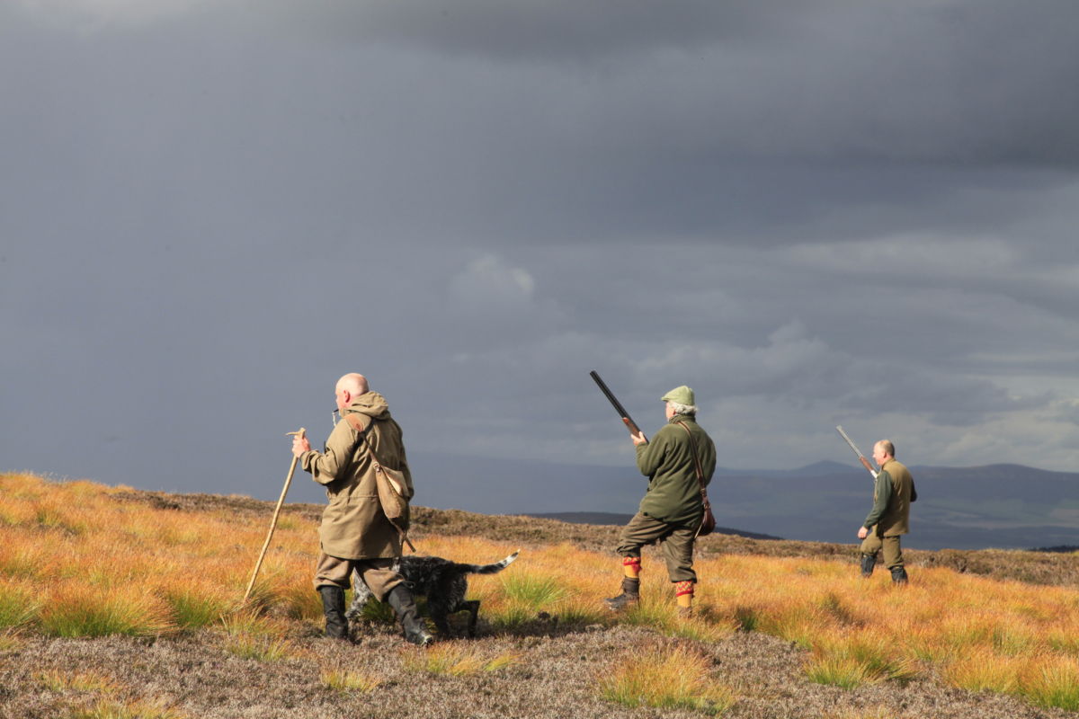 Walkedup grouse shooting