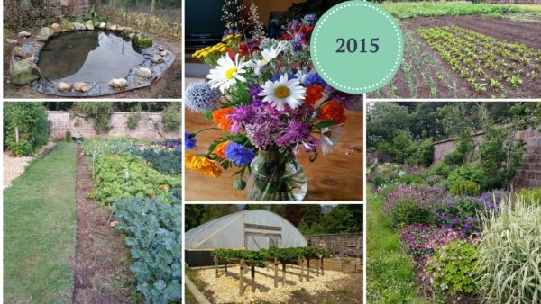 201520Pictures