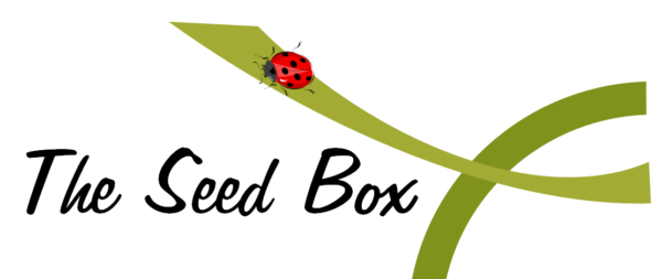 The20 Seed20 Box20 Ltd20 Logo