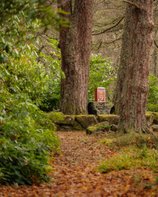 Christmas Post Box 5