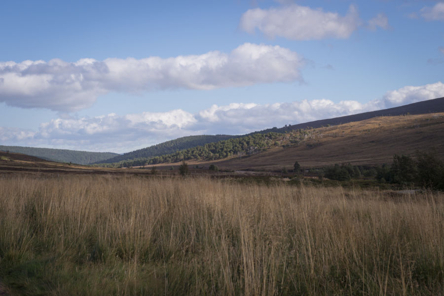 Macnab Challenge at Glen Tanar