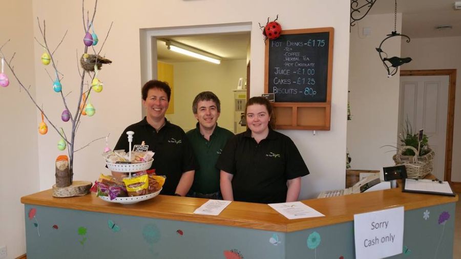Walled garden welcomes The Seed Box