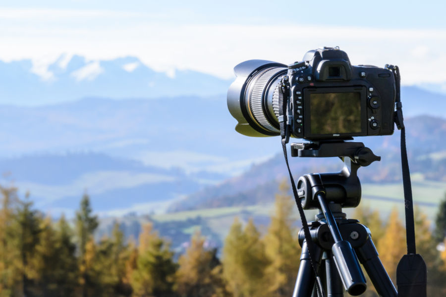 Wildlife photography preparations