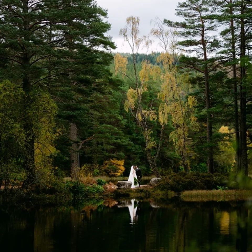 54921110228 23bdebd28a o