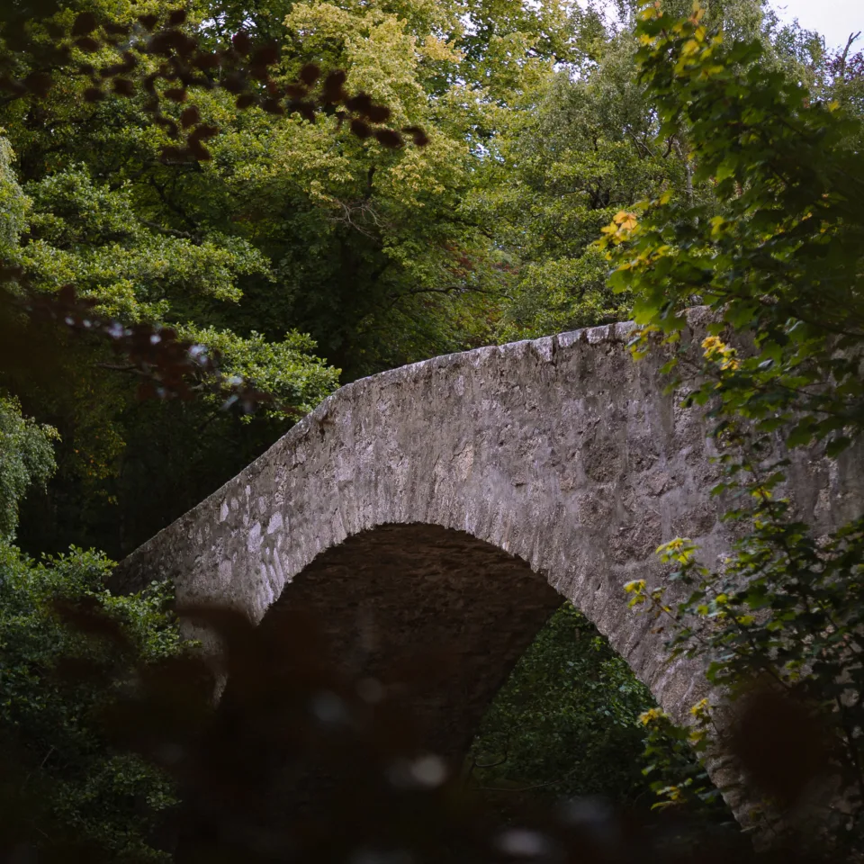 54921281465 9e919e153f o