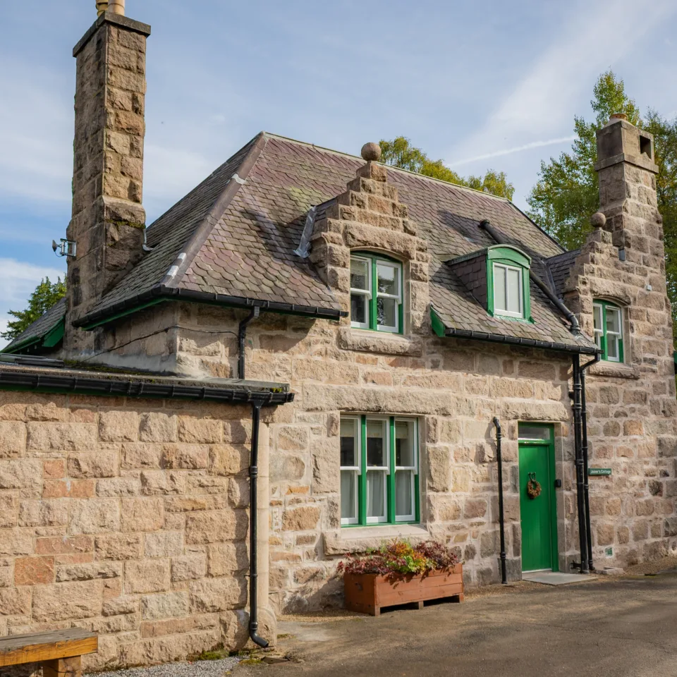 54840062882 79d39e504b o