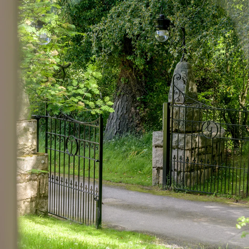 54920089952 f4fb85b5c2 o