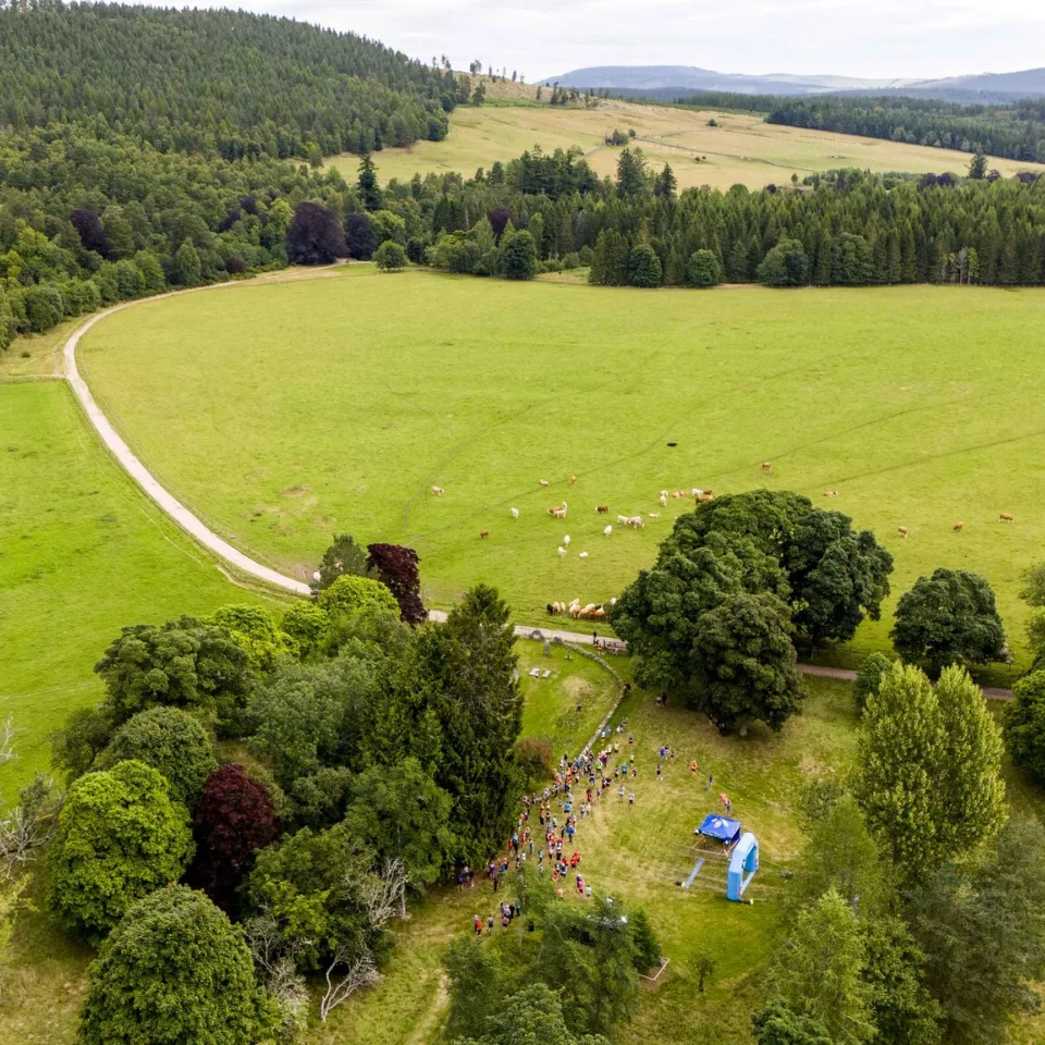 54760963244 9a2056b6c7 k