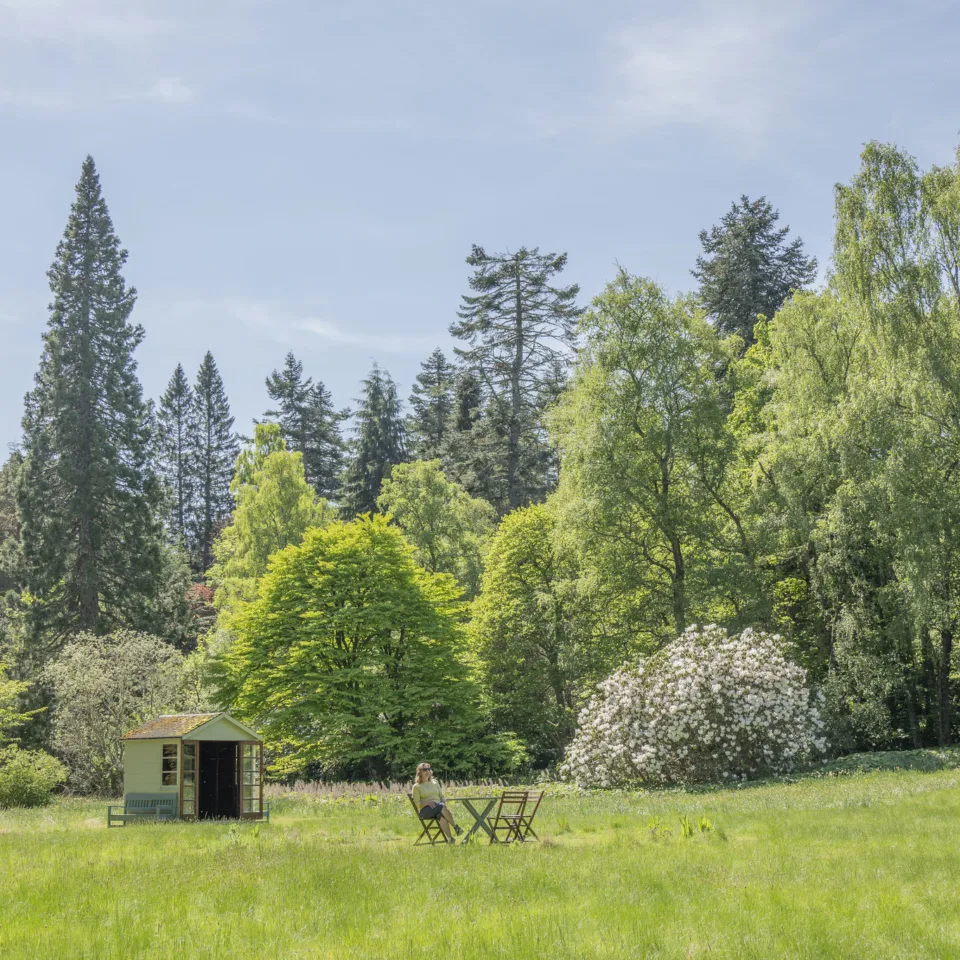 54609740707 e39594d70c k