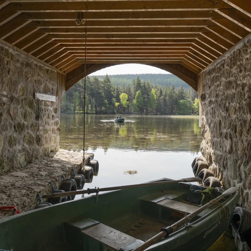 54609757562 bdc5f46663 k