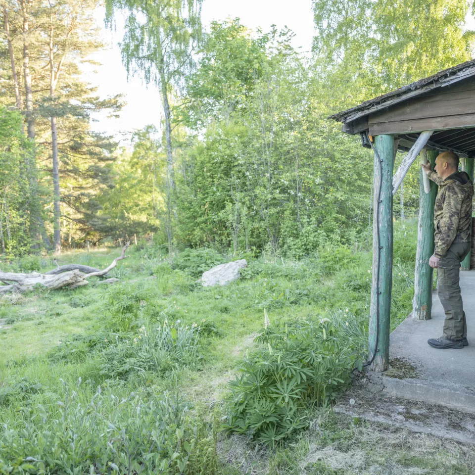 54610818171 c87a6b17b6 k