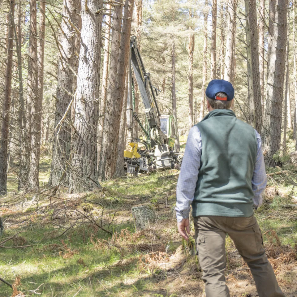 54610873600 be6af00aaa o