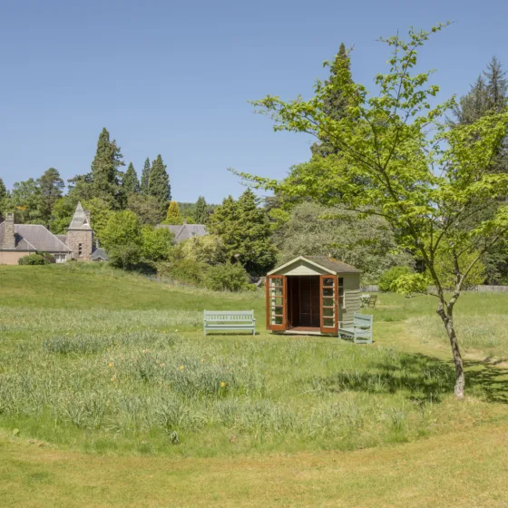 54610923060 7e06f9353e o 1