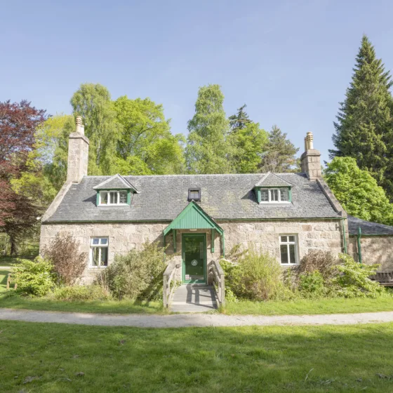 54609976202 7af0506239 o