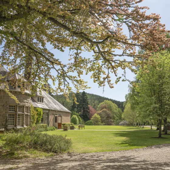 54609745047 526520f042 b