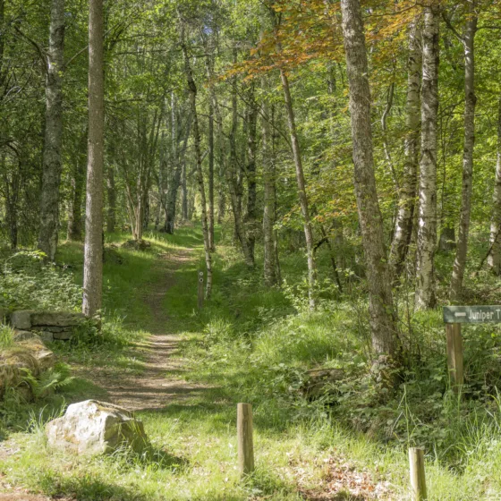 54611156665 deef084161 o