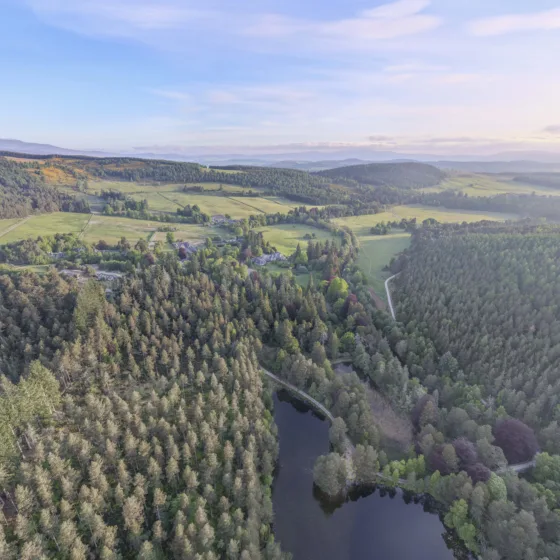 54610601151 5f4a43facd o