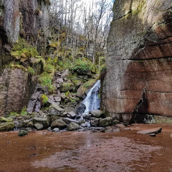 Burn o vat 6 01 orig