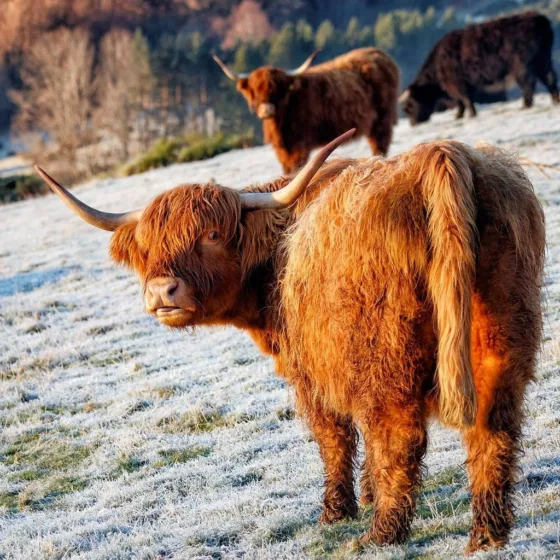 54921351629 f7c2b7c385 b