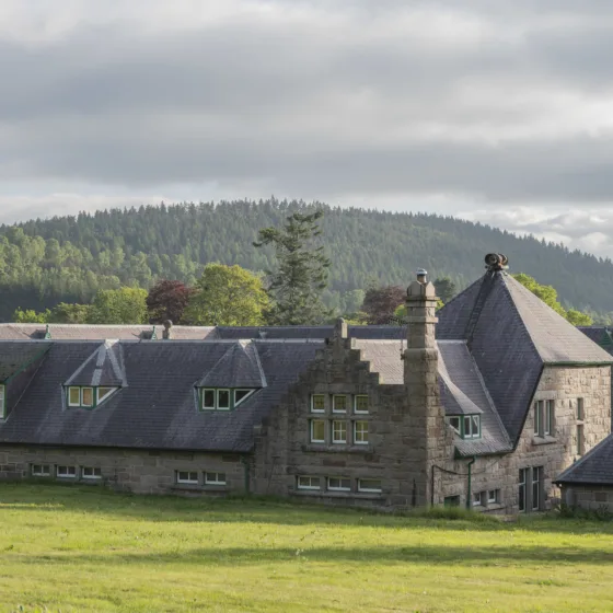 54610816694 3fecb9d087 k