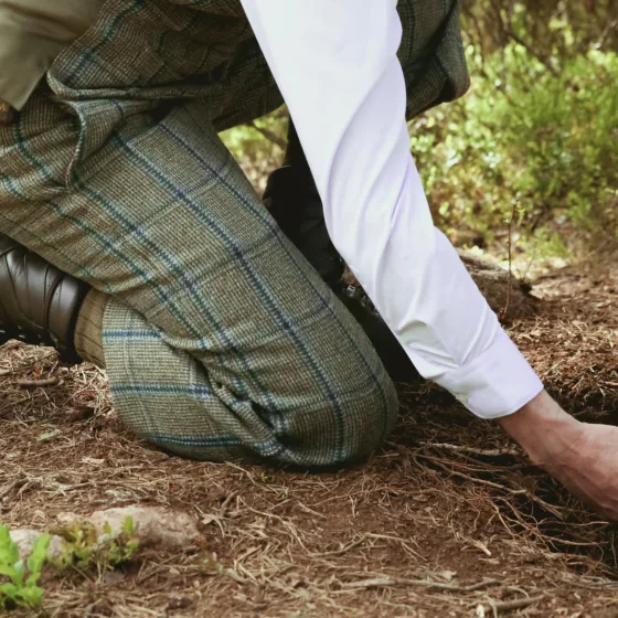 54610534746 c6562c5ed7 k