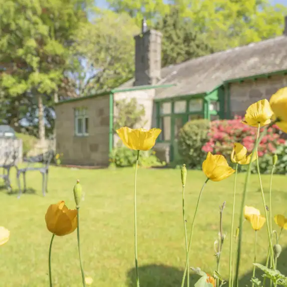 GARDEN COTTAGE 48 3