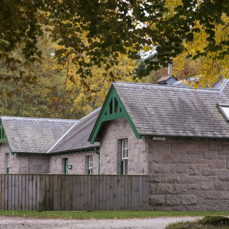 54921273613 6a08f4c4f8 o