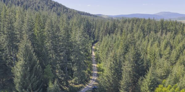 Where nature, people and purpose thrive together.