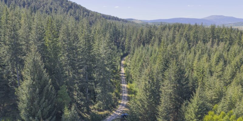 Where nature, people and purpose thrive together.