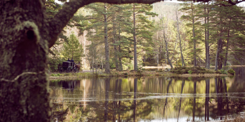 Where every celebration finds its perfect setting.