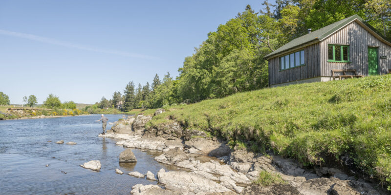 Every day brings something different in the glen.