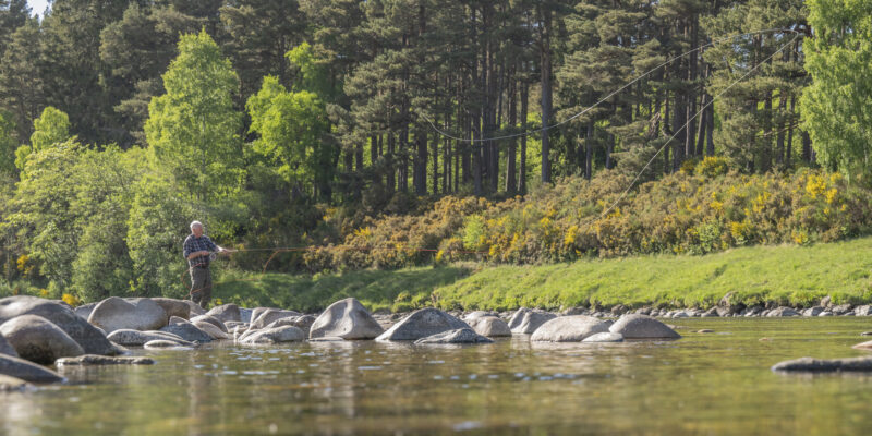 World-class salmon fishing in the heart of Royal Deeside.