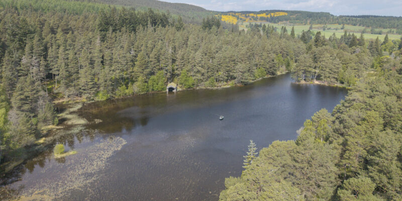 Trout fishing in the heart of the forest.