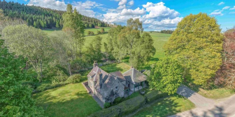 Where comfort meets the calm of the forest.