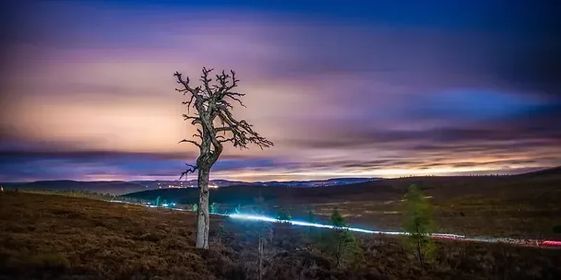 Test Your Sense of Adventure.