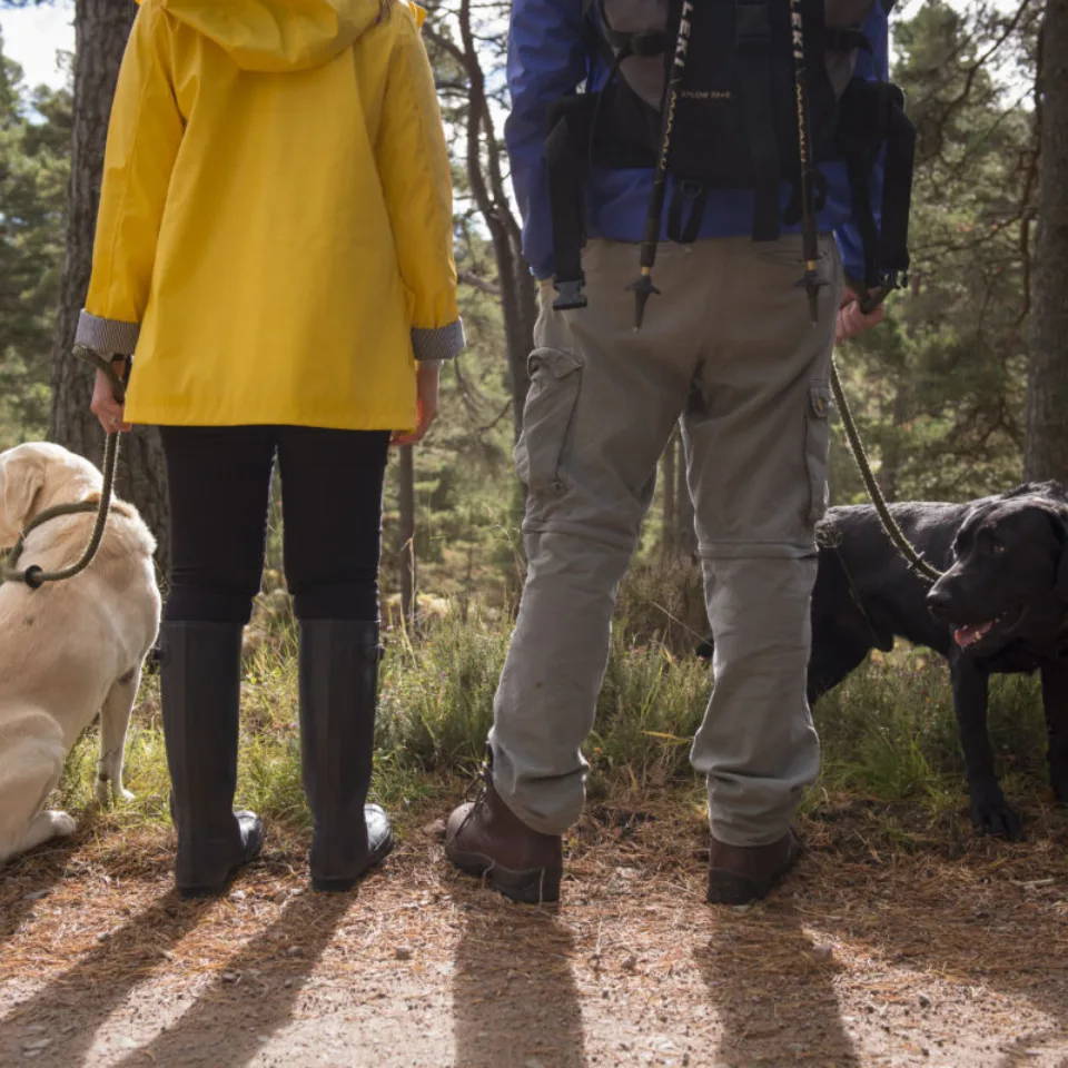 GTW25 Best destination for hiking in Scotland