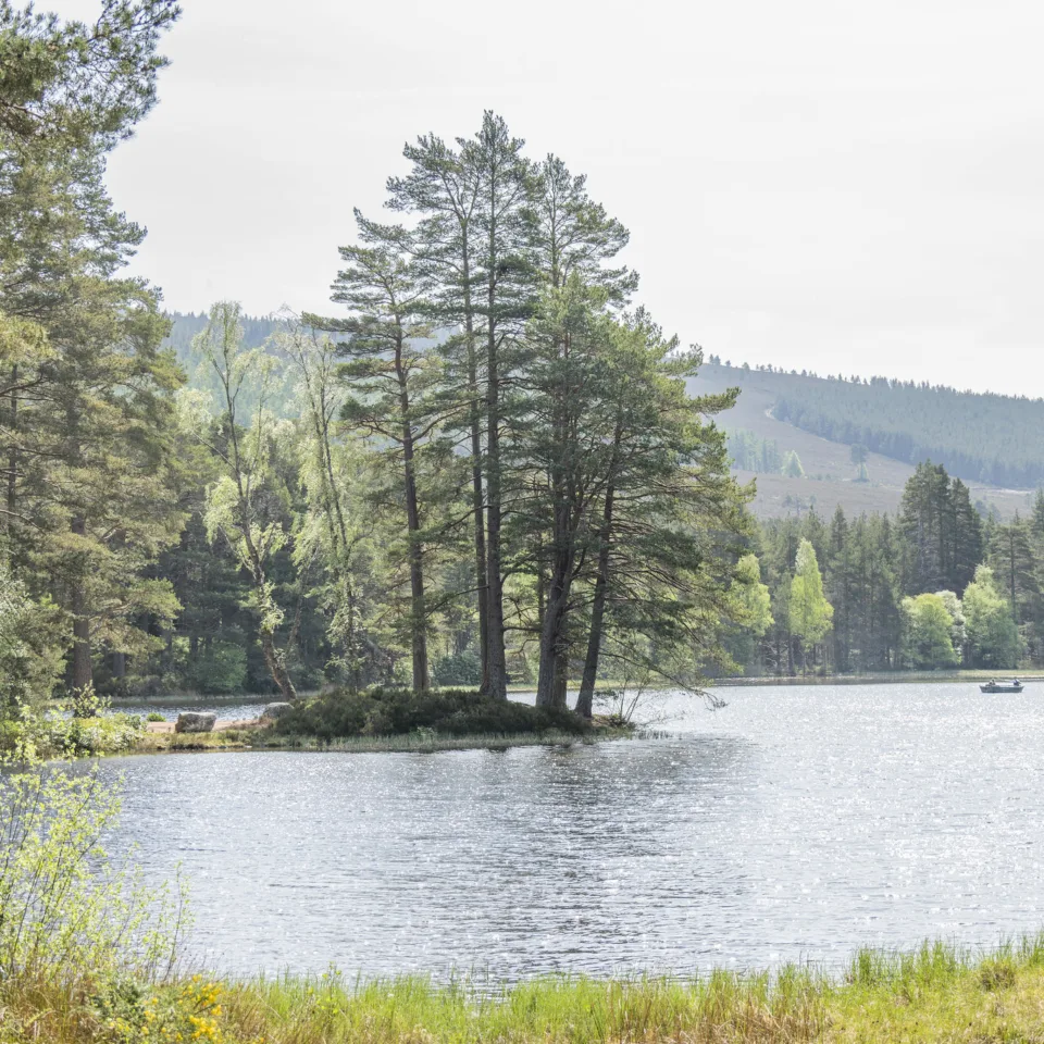 GTW25 Landscape Graham Niven Rowan Cottage